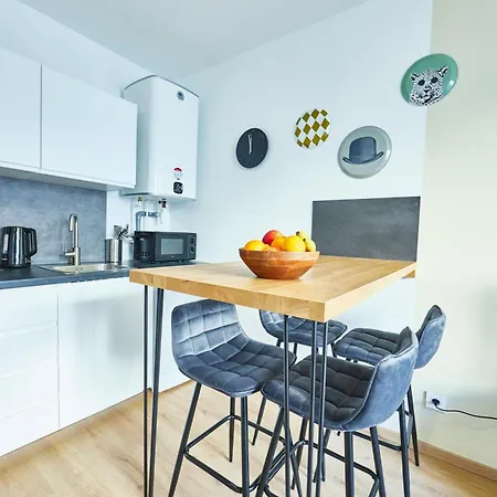 Be-2g - F2 Pour 1-2 Pers Au 2ème étage Au Centre De Appartamento Mulhouse